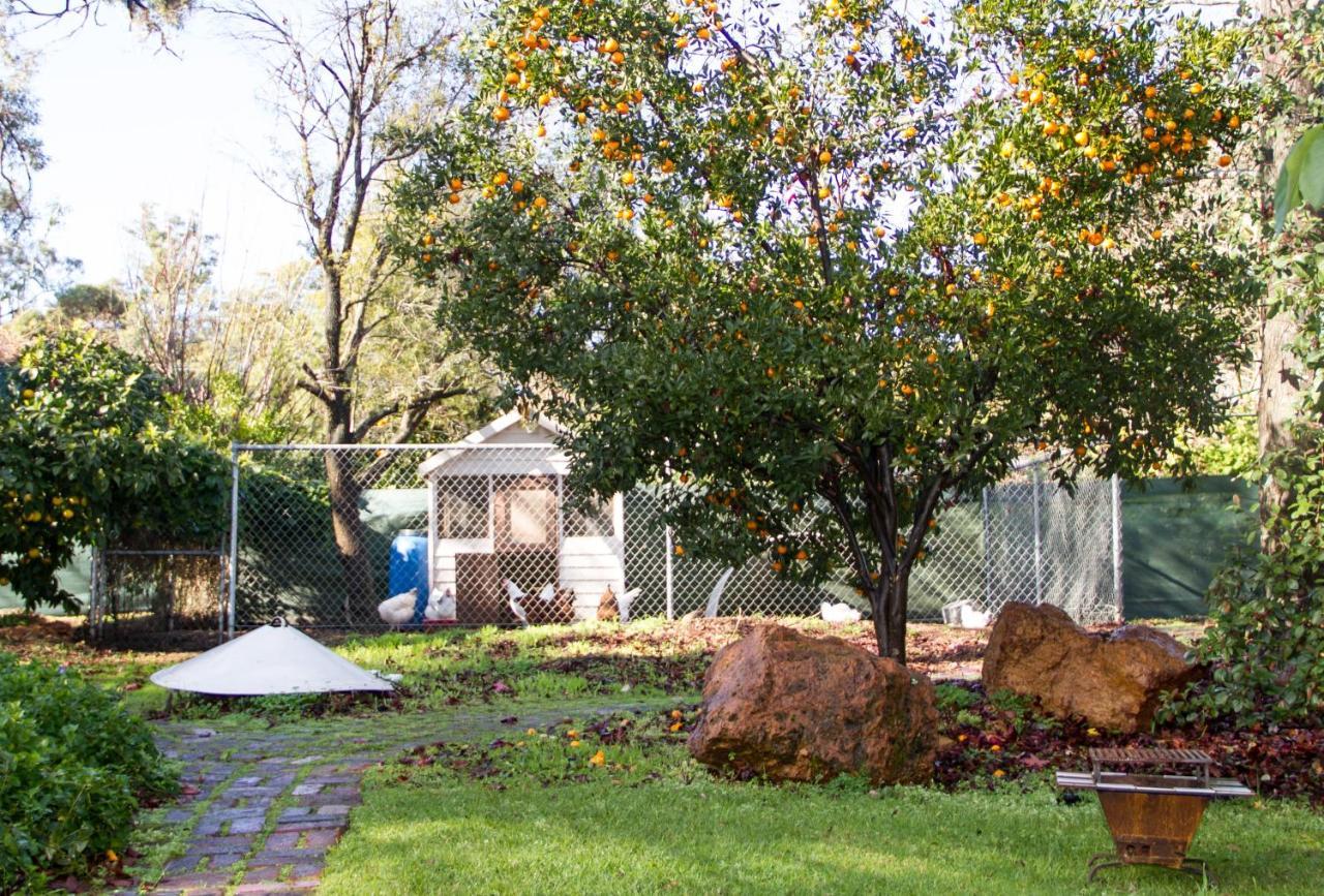 Farview Guest Accommodation Pickering Brook Exterior photo